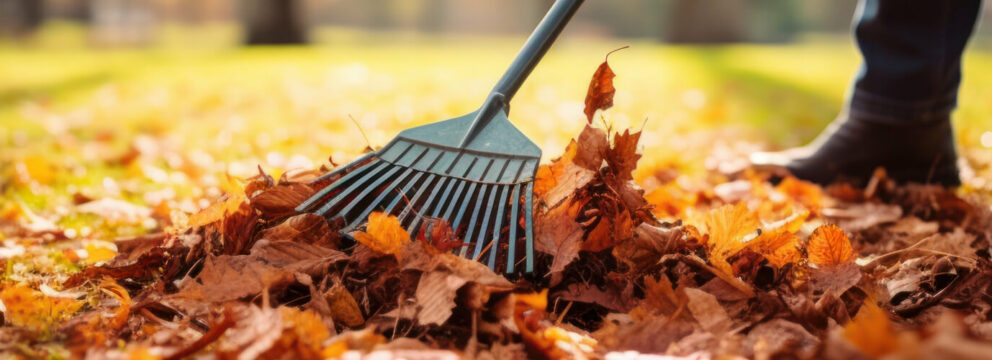 Entretien des espaces verts - Coup d'main