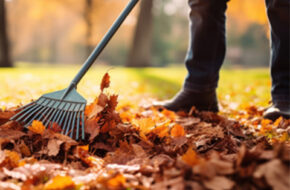 Entretien d'espaces verts